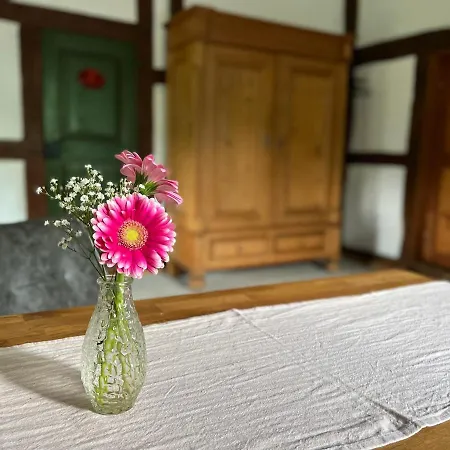 Reetscheune Kruezen 公寓