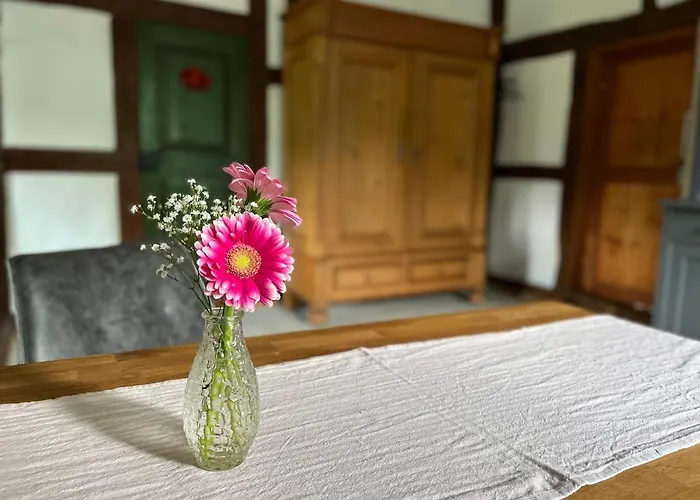 Reetscheune Kruezen 公寓